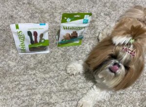 לכבוד חודש בריאות הפה הבינלאומי: חטיפי מברשות שיניים חדשים לכלבים של המותג האהוב WHINZEES